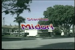 'American Booty' screenshot nº 8