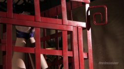 'Forbidden Sex 3' screenshot nº 29