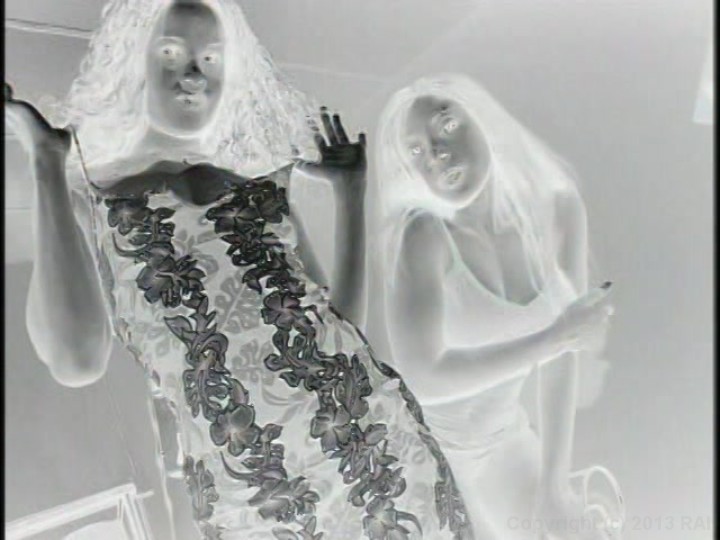 Hot Black Babes Share Their Man's Cocks