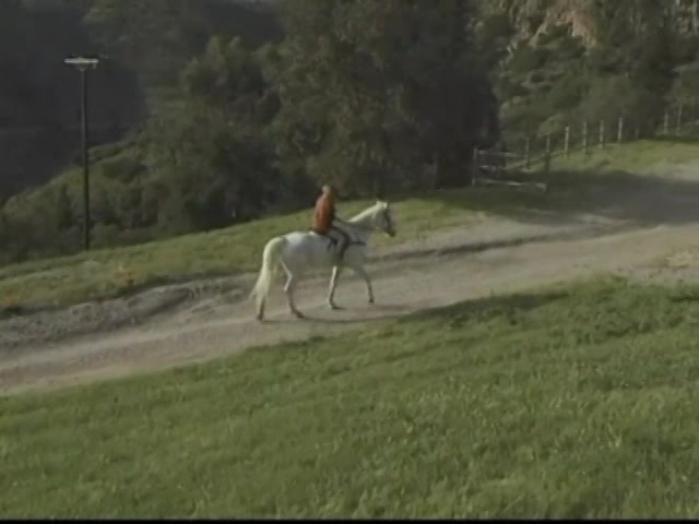 S.M.U.T. 5 - Rode Hard & Put Away Wet! - Scene 2