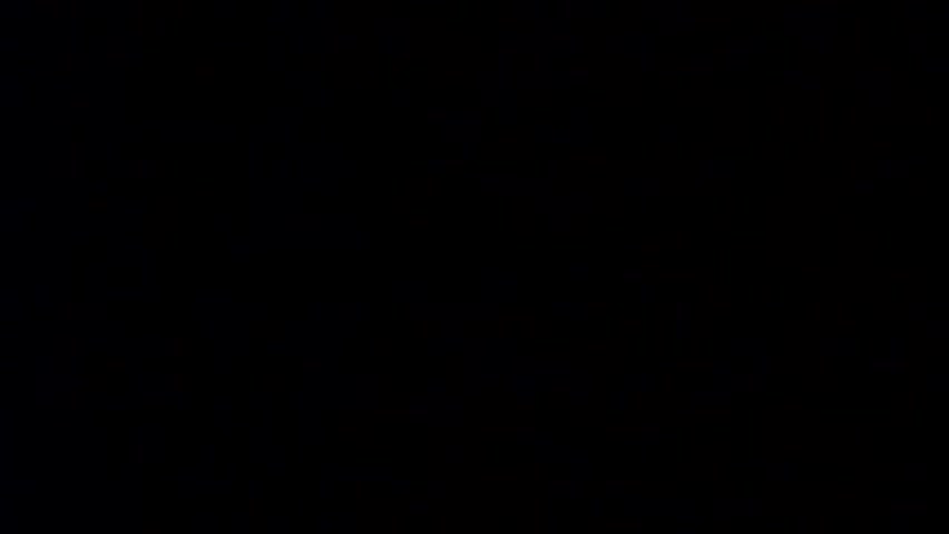 Cumback Pussy 6: All-Star Poop Chute Salute - Scene 5