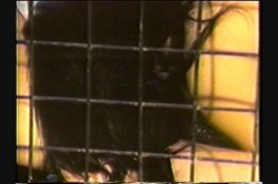 'Oriental Ecstasy' screenshot nº 84