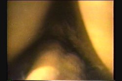 'Oriental Ecstasy' screenshot nº 87