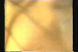 'Oriental Ecstasy' screenshot nº 89