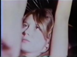 Captura de 'Peepshow Loops 243: '70s & '80s (All Color)' nº 5
