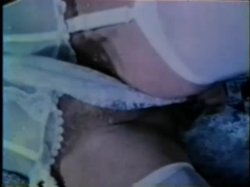 Captura de 'Peepshow Loops 243: '70s & '80s (All Color)' nº 92