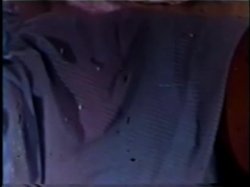Captura de 'Peepshow Loops 243: '70s & '80s (All Color)' nº 12