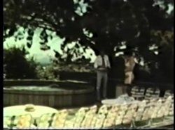 'Peepshow Loops 276: '70s & '80s (All Color)' screenshot nº 44