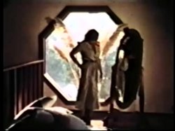 'Peepshow Loops 276: '70s & '80s (All Color)' screenshot nº 98