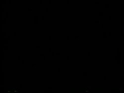 'Peepshow Loops 276: '70s & '80s (All Color)' screenshot nº 124