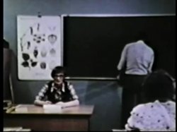 'Peepshow Loops 276: '70s & '80s (All Color)' screenshot nº 125