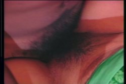 'Rump-Shaker 2' screenshot nº 47