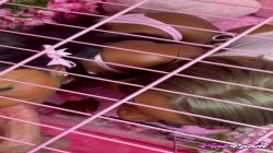 Captura de 'Pink Room Ep. 36: Obedient Cuties Poppy & Lana Love to Please' nº 30
