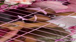 Captura de 'Pink Room Ep. 36: Obedient Cuties Poppy & Lana Love to Please' nº 31