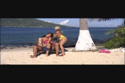 'Madagascar Sex Resort' screenshot nº 55