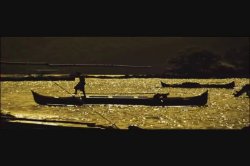 'Madagascar Sex Resort' screenshot nº 1
