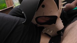 Pup Anubis, Pup Logan & Pup Snauwflake in Visitor, The for projectYstudios