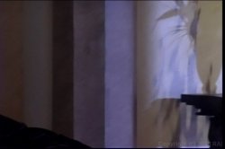 'Portrait, The' screenshot nº 16