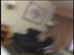 'POV Pervert' screenshot nº 101