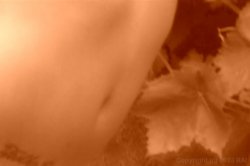'Deep In Cream 2' screenshot nº 84