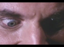 'Fuck Bush' screenshot nº 122