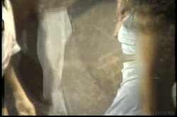 Captura de 'My Baby Got Back 3' nº 120