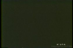 'Asian Sluts in the 1970's' screenshot nº 1