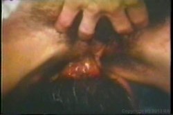 'Aunt Peg Collection' screenshot nº 74
