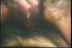'Aunt Peg Collection' screenshot nº 92