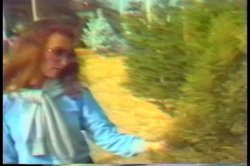 'Loni Sanders Sweet Little Sexpot!' screenshot nº 93