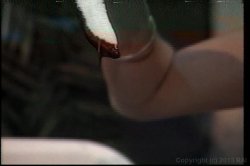'Black is Back' screenshot nº 108