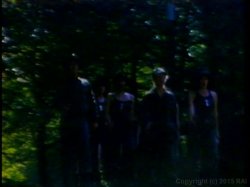 'Puss 'N Boots' screenshot nº 1