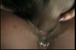 Captura de 'Black Carnal Coeds 2' nº 33