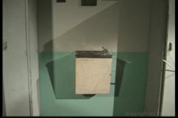 Captura de 'Black Carnal Coeds 2' nº 53