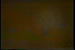 'Shauna Grant Collection' screenshot nº 76