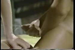 'Shauna Grant Collection' screenshot nº 92