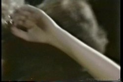 'Shauna Grant Collection' screenshot nº 93