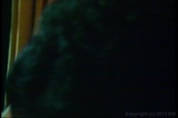 'Oriental Blue' screenshot nº 30