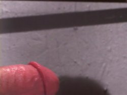 Captura de 'Bar Flies' nº 59