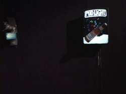 Captura de 'Bar Flies' nº 6
