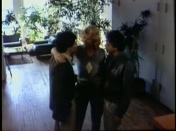 'Stray Cats: Stroke-em!' screenshot nº 110