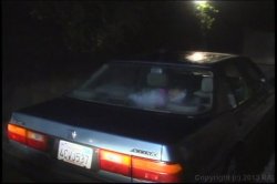 'When Cougars Attack' screenshot nº 22