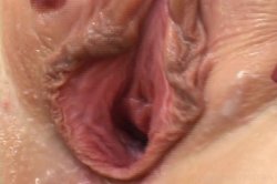 'My Daughter's Fucking Blackzilla 8' screenshot nº 16