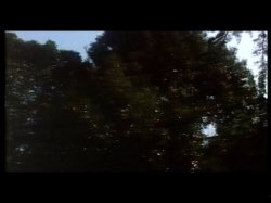 Captura de 'Sodoma Piaceri Probiti' nº 99