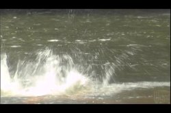 Captura de 'Operation: Tropical Stormy' nº 81