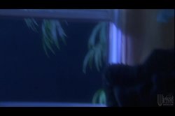 Captura de 'Operation: Tropical Stormy' nº 139