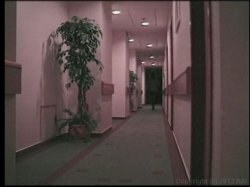 'Euro Face Fucked 6' screenshot nº 3