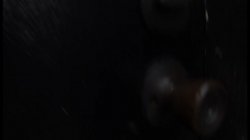 Captura de 'BBW Jungle Fever 4' nº 34