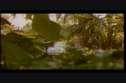 'Pleasures of a Woman' screenshot nº 44