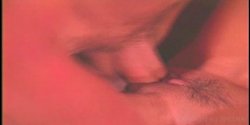Captura de 'Monsters of Cock Peter North' nº 33